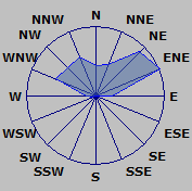 Wind Rose